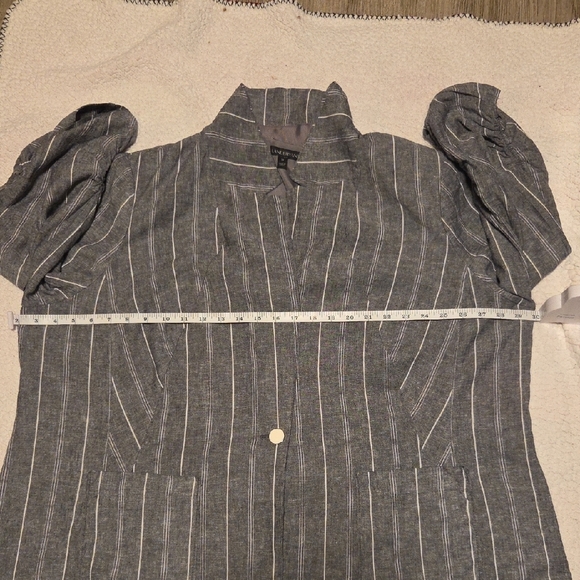 Lane Bryant Charcoal Striped Blazer - Picture 4 of 6